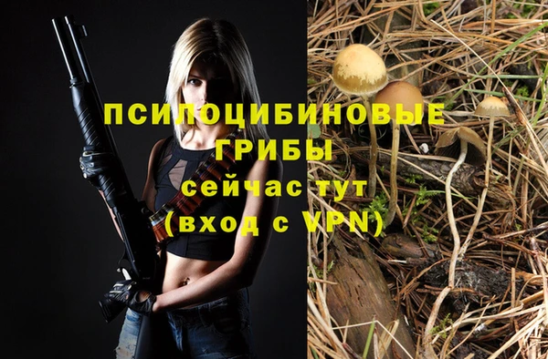 ALPHA PVP Балахна